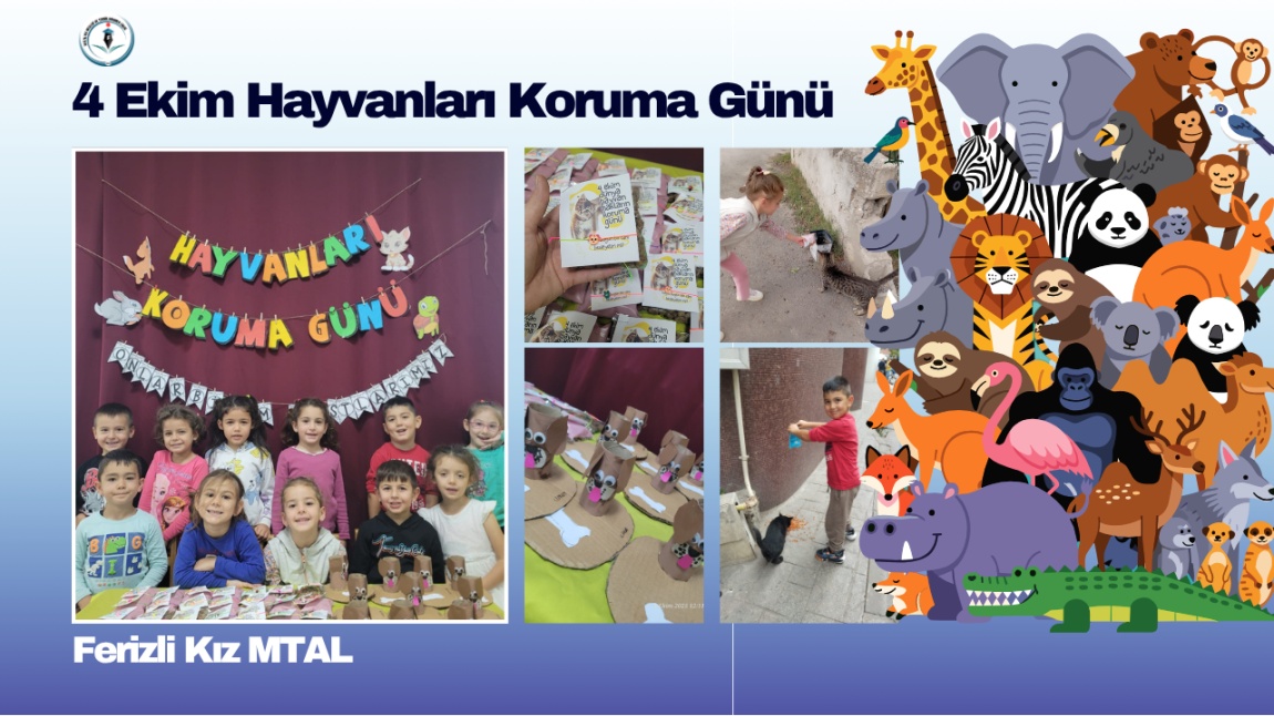 Uygulama Sınıfımızdan Hayvan Sevgisiyle Dolu Bir Gün